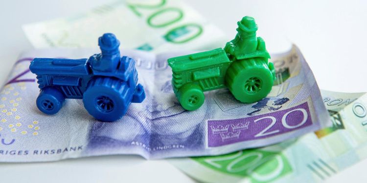 Ekonomiska problem under corona kan riskera EU-stöd