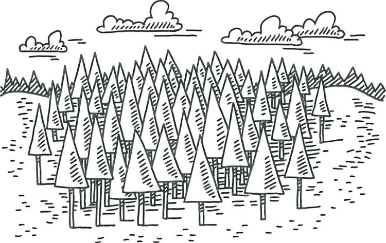 Förtydliga artskyddsförordningen