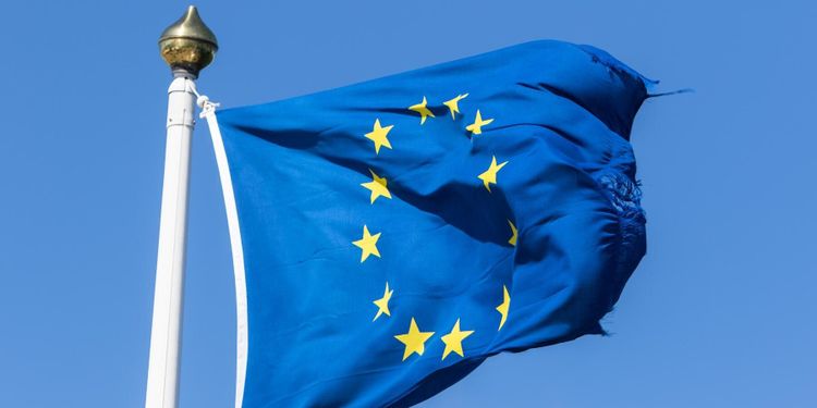 ”Kritiken mot den byråkratiska EU-kolossen växer”