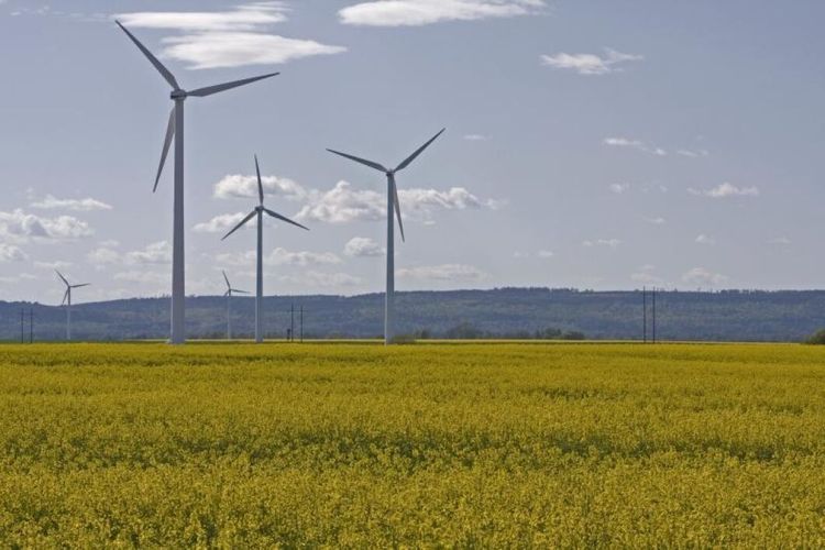 Ingen hjälp från staten och kapitalet