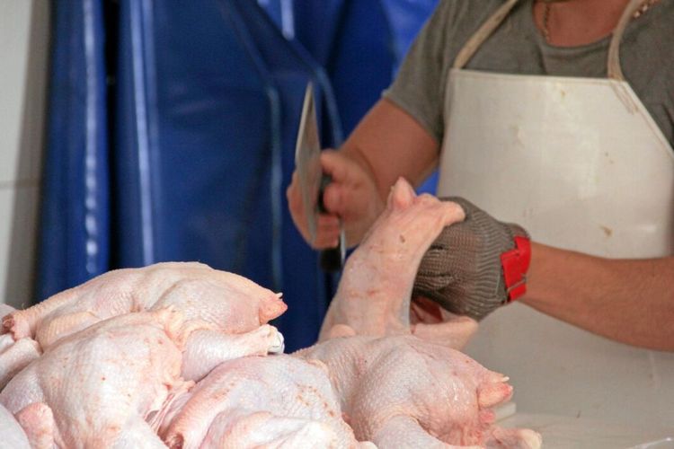 HK Scan flaggar för sämre resultat