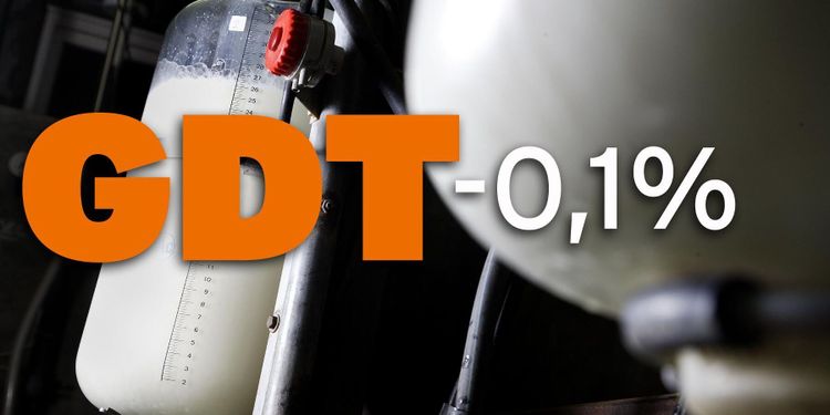 Svagt nedåt för Global Dairy Trade