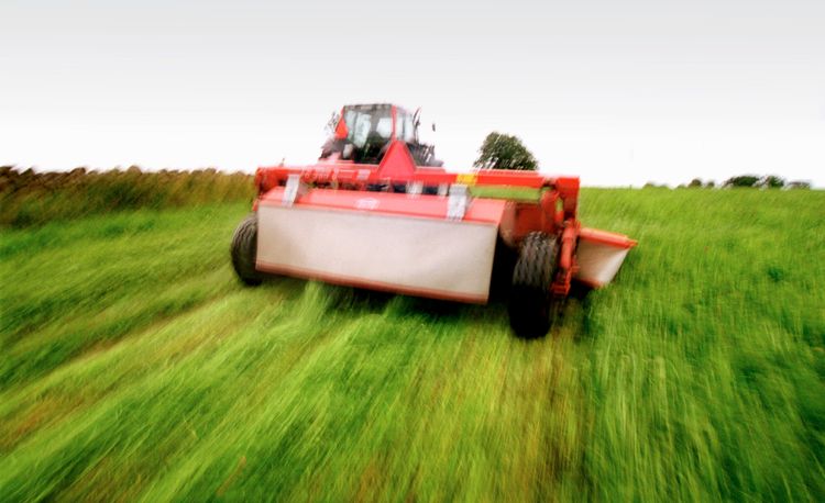 Sommarens torka har drabbat vissa sörmländska bönder hårt. Vallskörden har bara blivit 10-20 procent mot normalår.