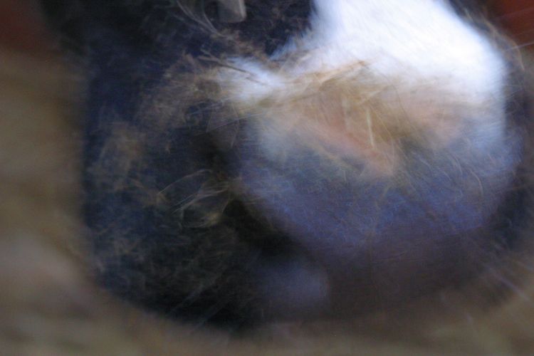 Oklarheter kring polisens avtal