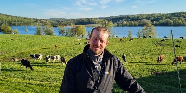 Efter kall vår: Snart klart för första skörd