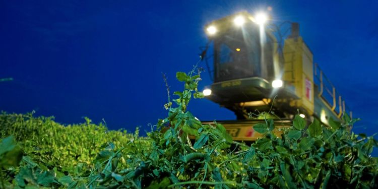 ”Dags att ta livsmedelsstrategin på allvar”