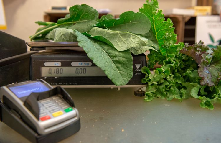 Olika typer av kål på en våg, med en kortläsare i förgrunden.