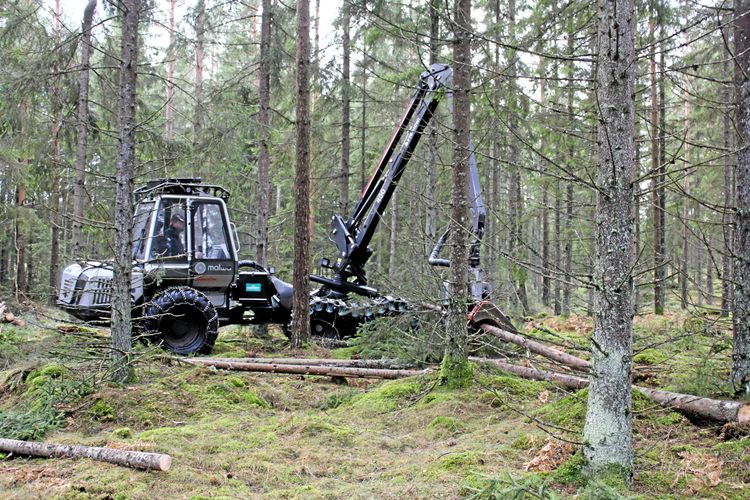 Skogsmaskin arbetar i skogen. 