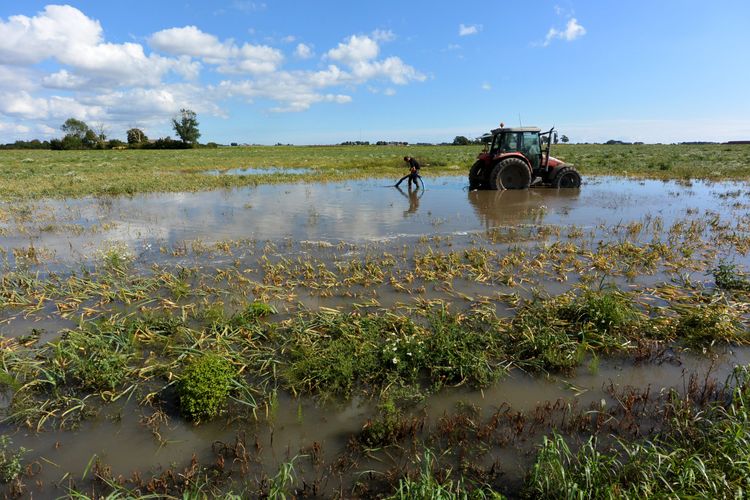 Översvämmad åker.