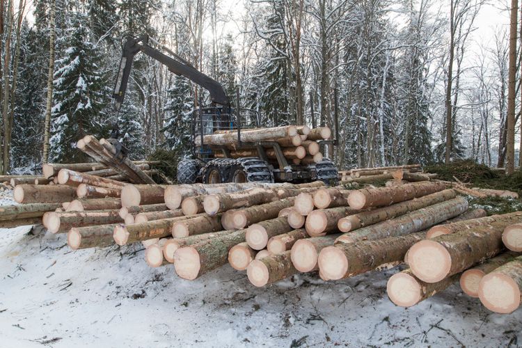 Timmer och skogsmaskin.