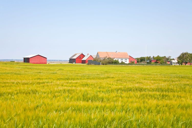 Röda stall vid havet. 