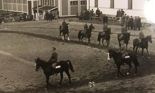 Virtuellt hästmuseum invigs på Strömsholm