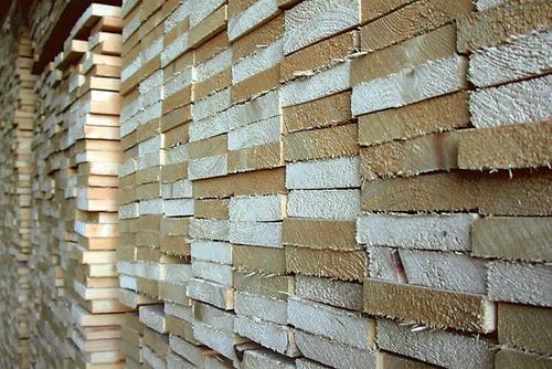 Skogskonjunkturen håller i sig