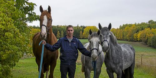 Full fart på hästaffärerna