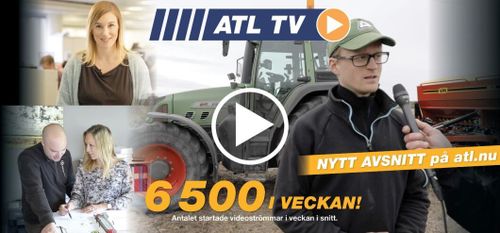 Så lyckas Sven med vallen