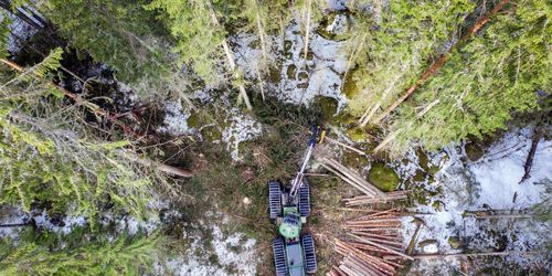 Minskade avverkningsanmälningar