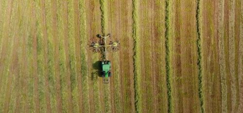 Odlingsåret från ovan