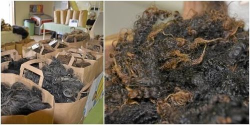 Intresset för råull växer: ”Rejält uppsving”