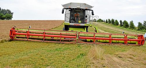 Marknaden präglas av låga skördepriser