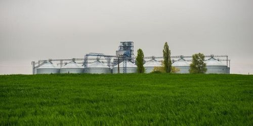 Agromino vände till vinst