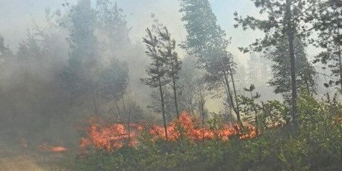 Häktades för grov mordbrand