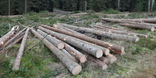 Minskat intresse att avverka