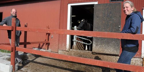 Gick från uppbundet till robot – med 57 kor