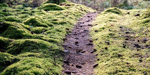 Markägare överklagar omarrondering på nytt