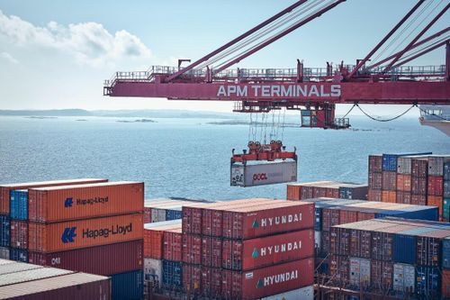 Hamnkonflikt drabbar skogsjätte