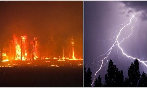 Skogsbränderna sprider sig med egna åskmoln