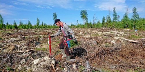 Plantgödning ger flerårig turboeffekt