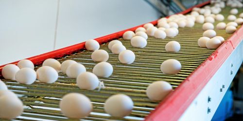 Sveriges Äggproducenter: Läget är akut