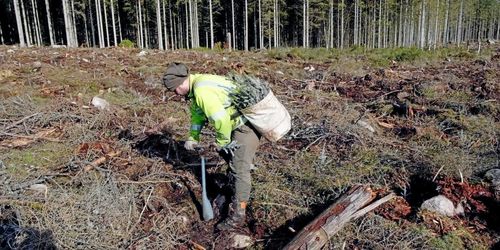 Bekräftat – det blir undantag för skogsarbetare