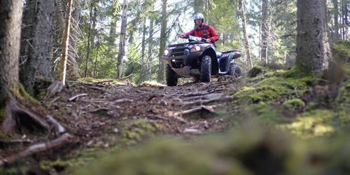 Hackar oroväckande i nedförsbacken