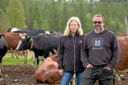 Odlar på 200 skiften – ändå brist på foder