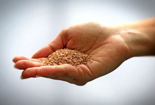 Polysackarider som utvinns ur vetekli kan användas till mycket.