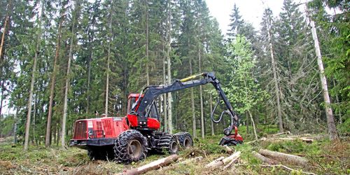 Klirr i kassan för finländska skogsägare