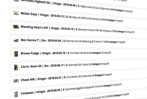 40 hopp- och dressyrstammade föl bjuds nu ut på internetauktionen i ett samarbete mellan avelsorganisationerna.