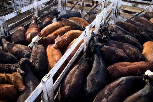 EU: Hoppas på dubbla handelsavtal