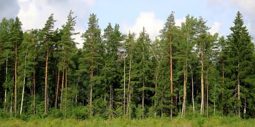 ”Gör naturvården till produktionsgren”