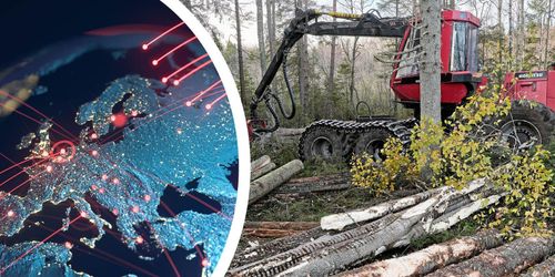 ”Utan sund ekonomi blir skogsprognoserna en illusion”