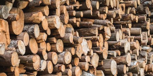 Slutdatum spikat för matrisfub