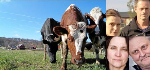 Bönder om det osäkra mjölkåret 2018