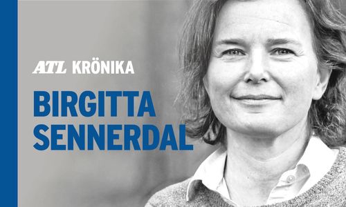 För 2021 önskar jag mig en tydlig skogspolitik