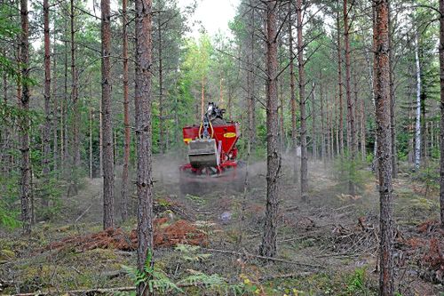 Med tallriksspridare läggs askblandningen ut i skogen.