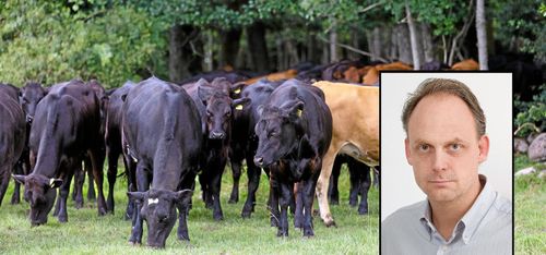 Här är bästa investeringen