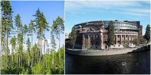 Skogen het fråga i riksdagsutfrågning