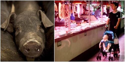 Kinesiskt ”zombiekött” ska hålla befolkningen glad