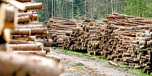 Ny mätningsorganisation efter nyår