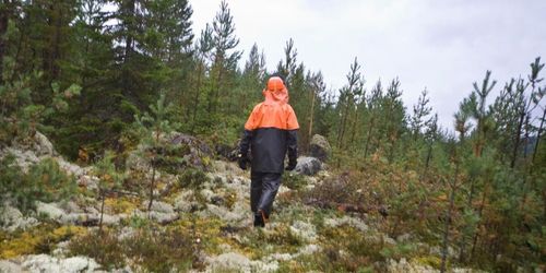 Sveriges skogsägare är oroade över äganderätten